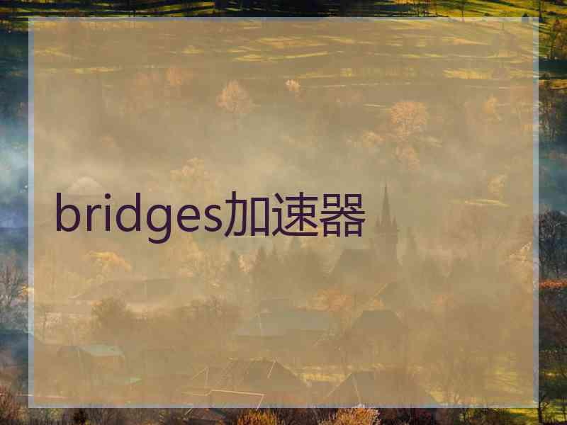 bridges加速器