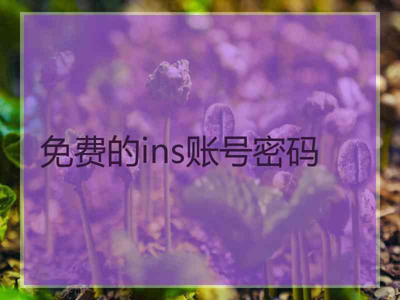 免费的ins账号密码