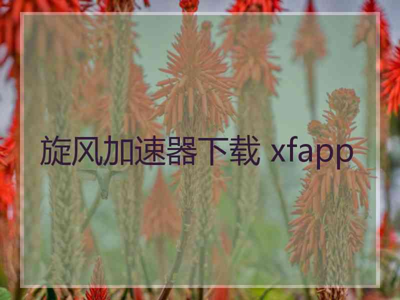 旋风加速器下载 xfapp