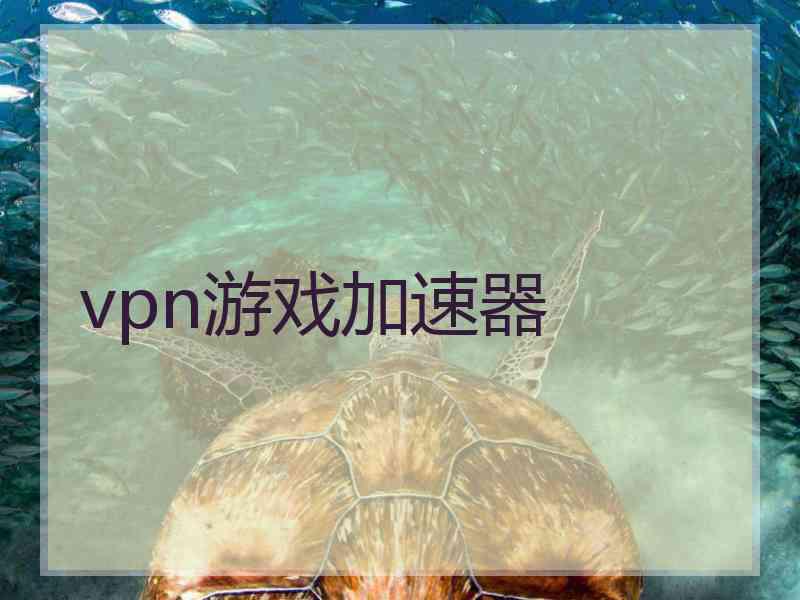 vpn游戏加速器