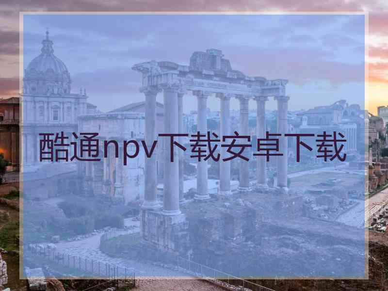 酷通npv下载安卓下载