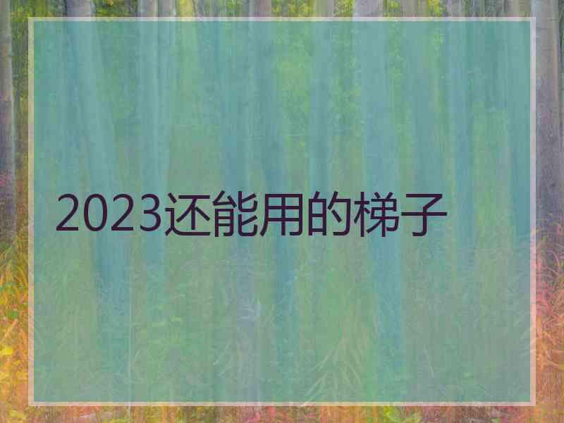 2023还能用的梯子