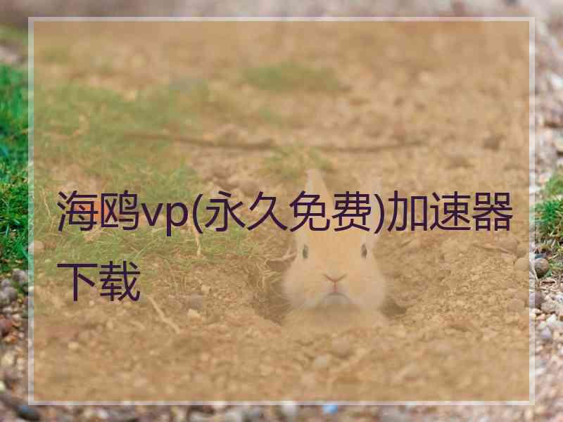 海鸥vp(永久免费)加速器下载