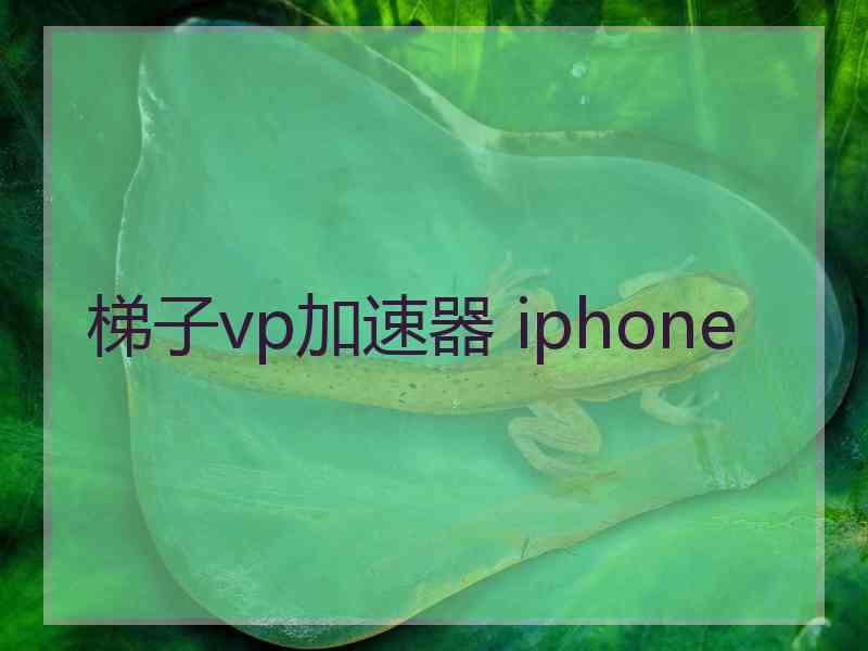 梯子vp加速器 iphone