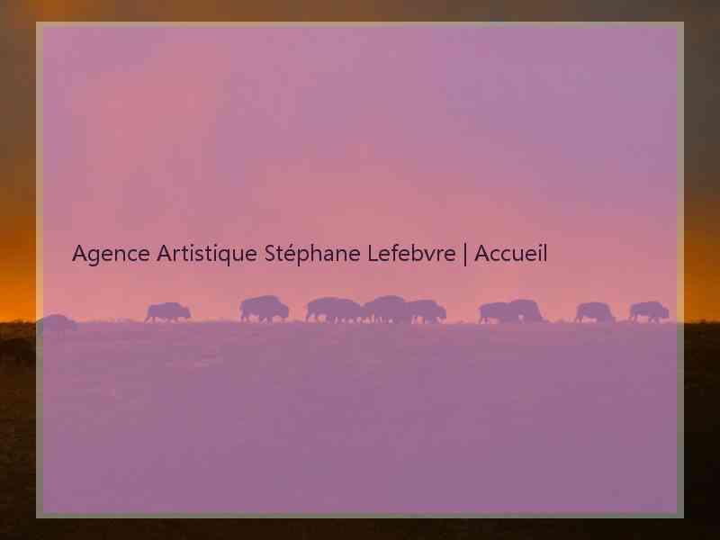 Agence Artistique Stéphane Lefebvre | Accueil