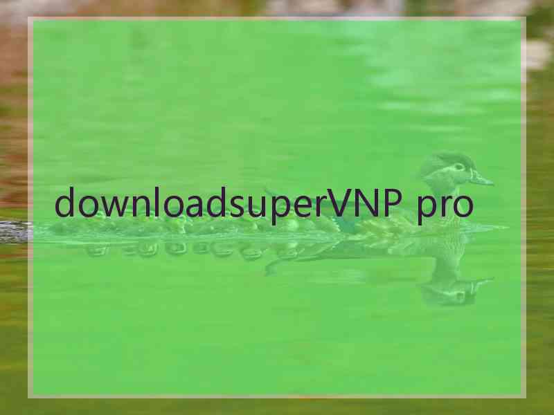 downloadsuperVNP pro