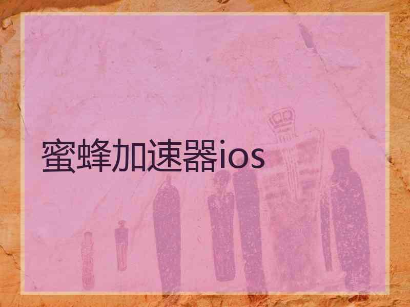 蜜蜂加速器ios