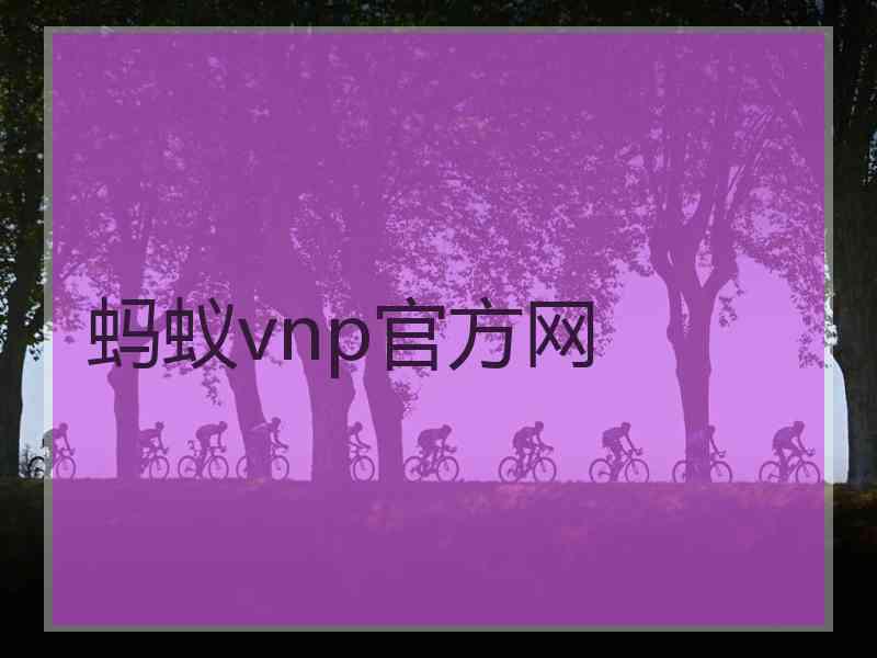 蚂蚁vnp官方网