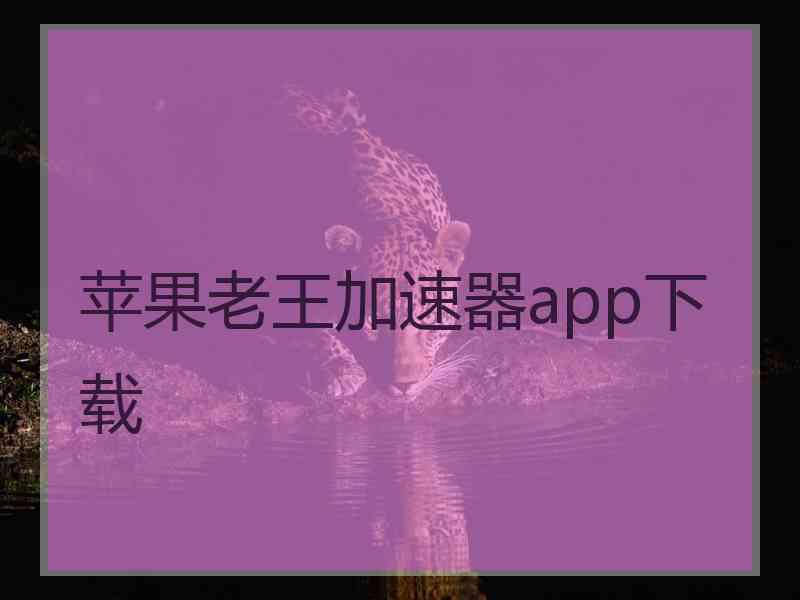 苹果老王加速器app下载