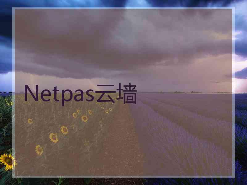 Netpas云墙