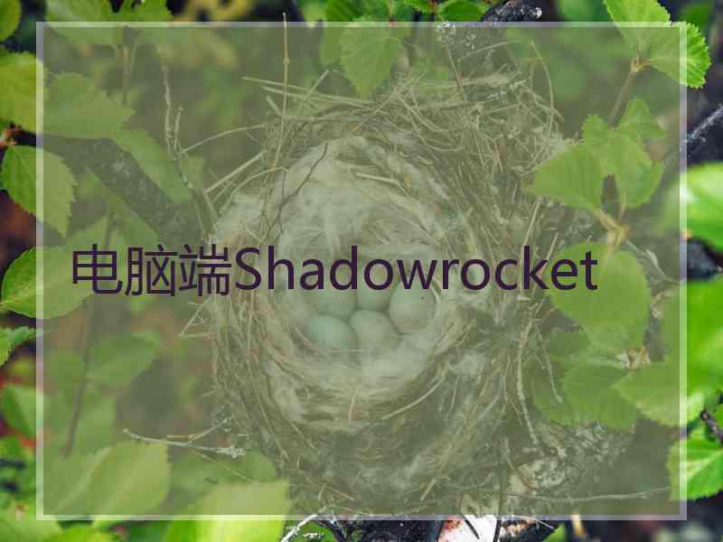 电脑端Shadowrocket