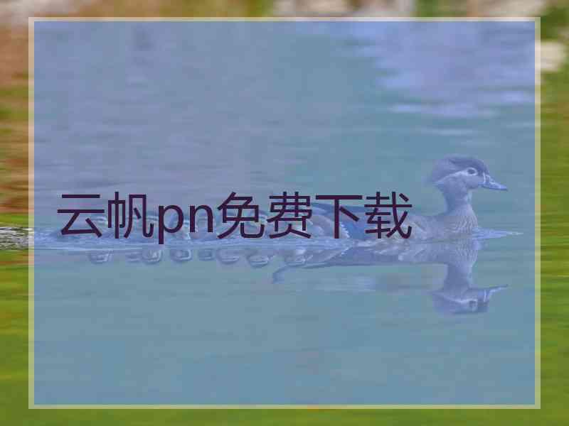 云帆pn免费下载