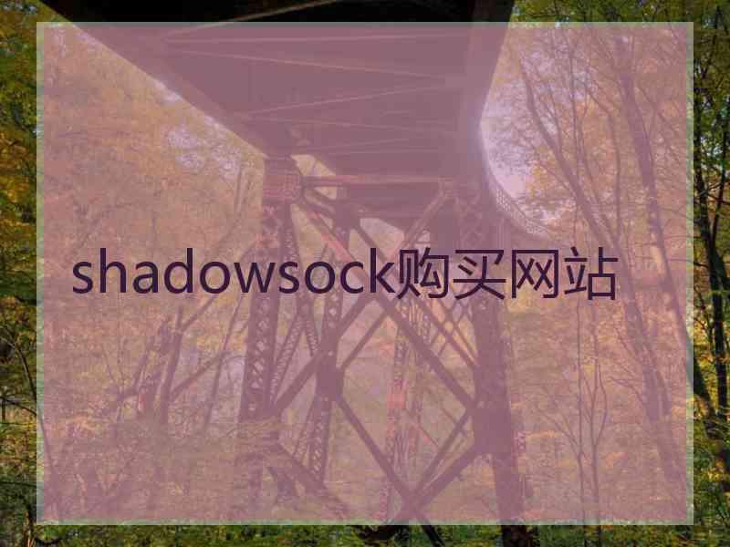 shadowsock购买网站