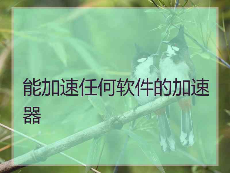 能加速任何软件的加速器