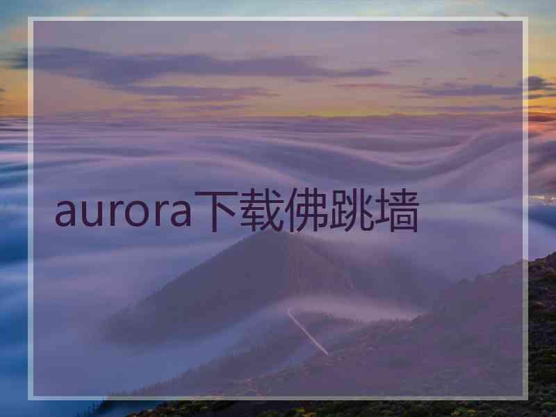 aurora下载佛跳墙