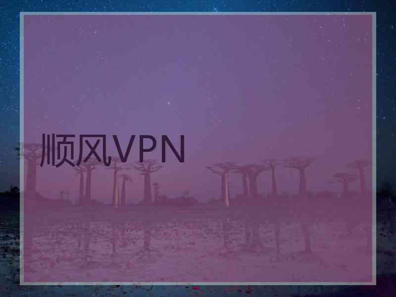 顺风VPN