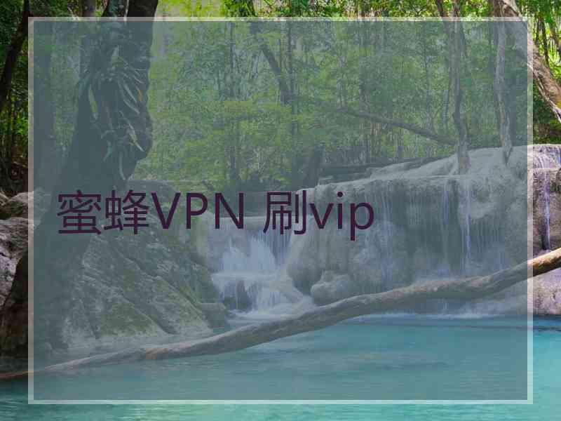 蜜蜂VPN 刷vip