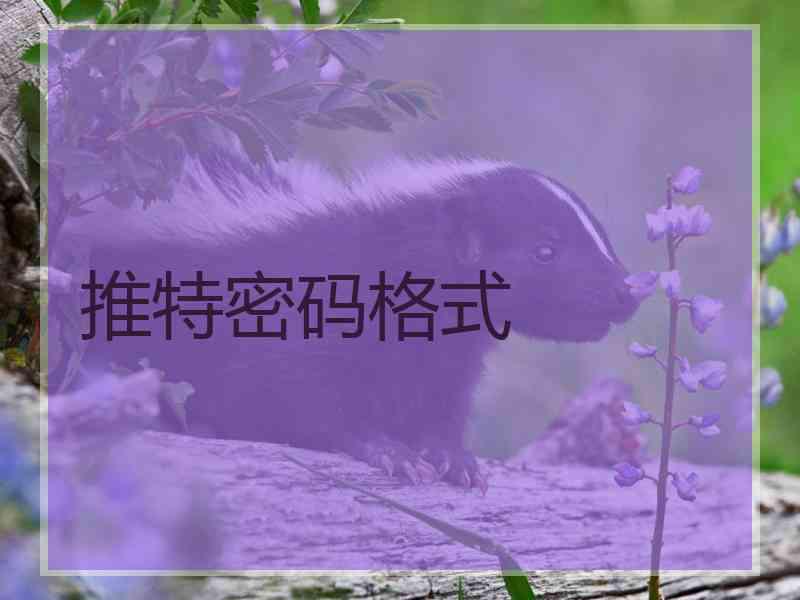 推特密码格式