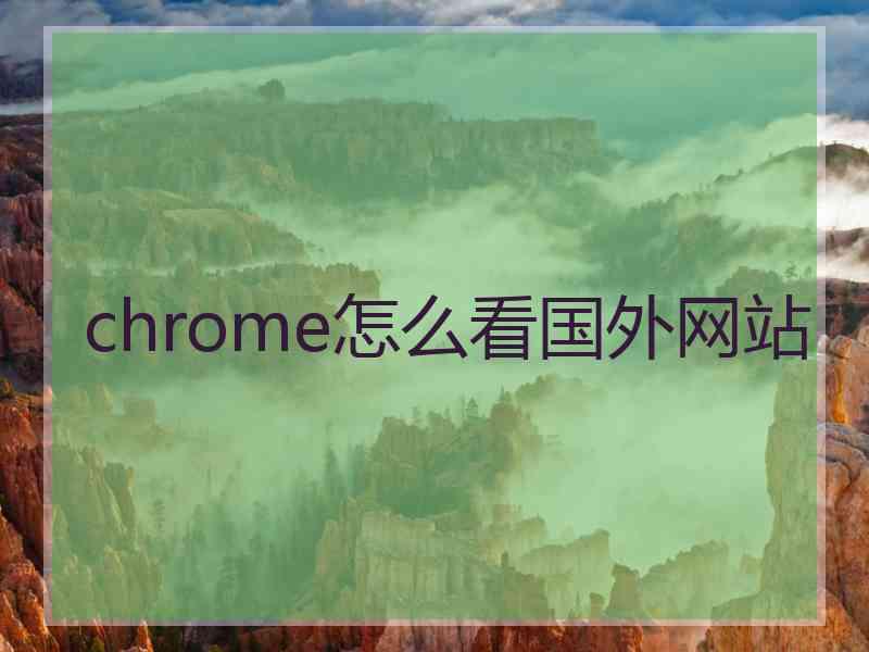 chrome怎么看国外网站