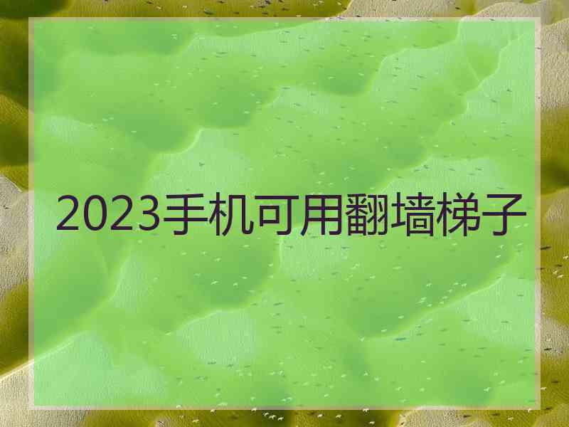 2023手机可用翻墙梯子