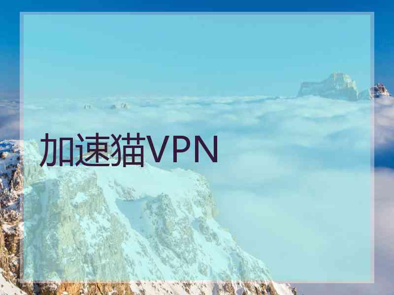 加速猫VPN