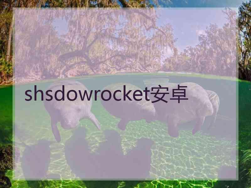 shsdowrocket安卓