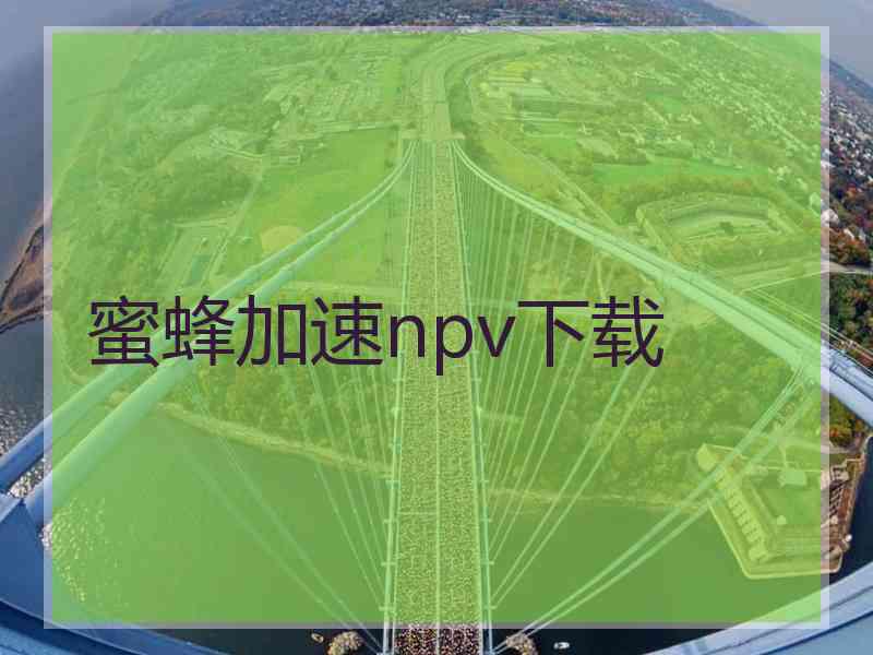 蜜蜂加速npv下载