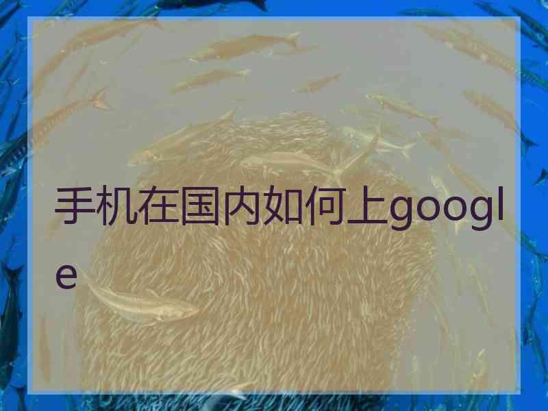 手机在国内如何上google