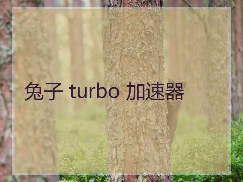 兔子 turbo 加速器