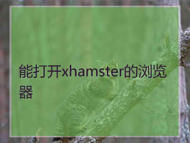 能打开xhamster的浏览器