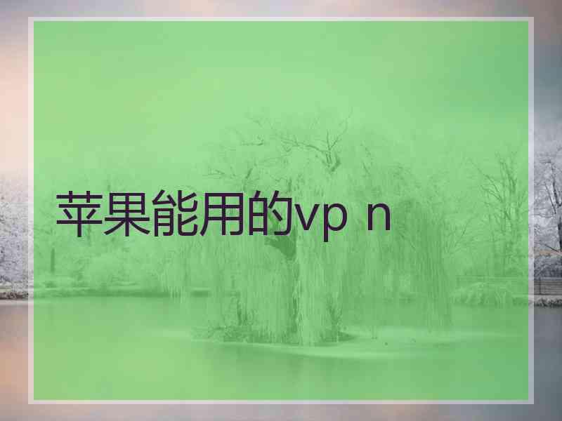 苹果能用的vp n