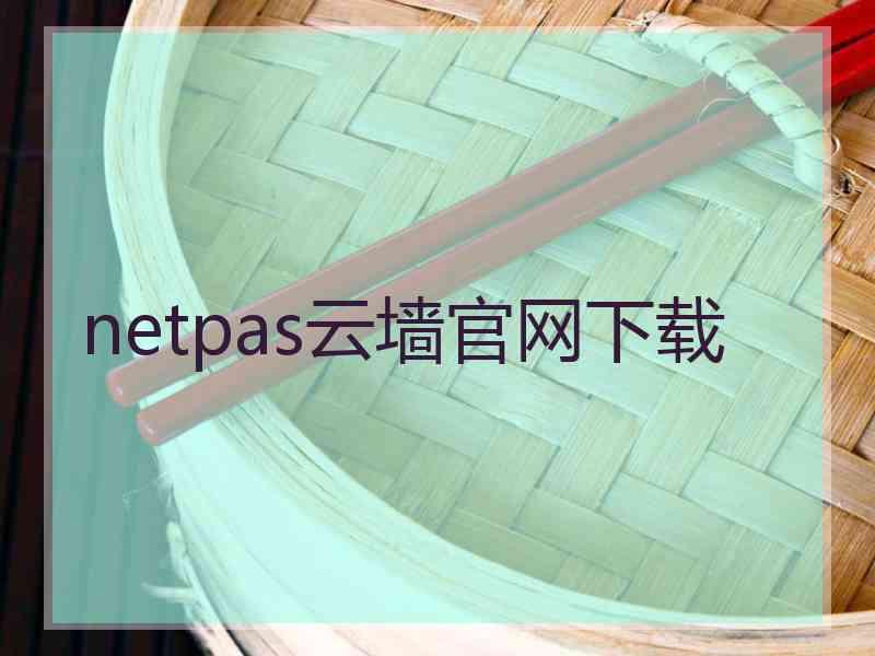 netpas云墙官网下载