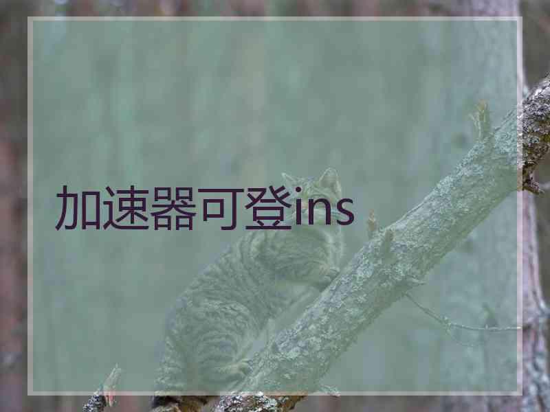 加速器可登ins