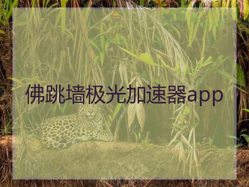 佛跳墙极光加速器app