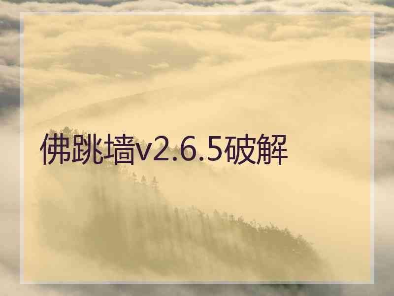 佛跳墙v2.6.5破解