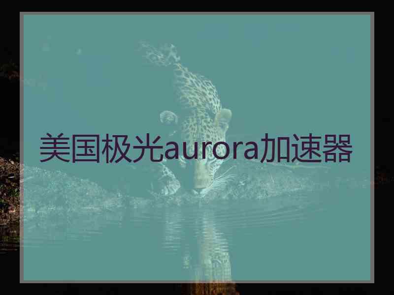 美国极光aurora加速器