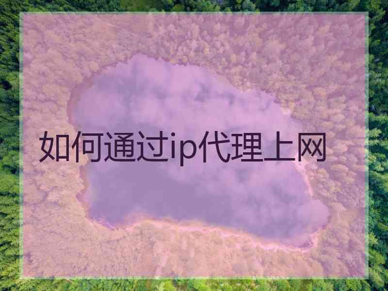 如何通过ip代理上网