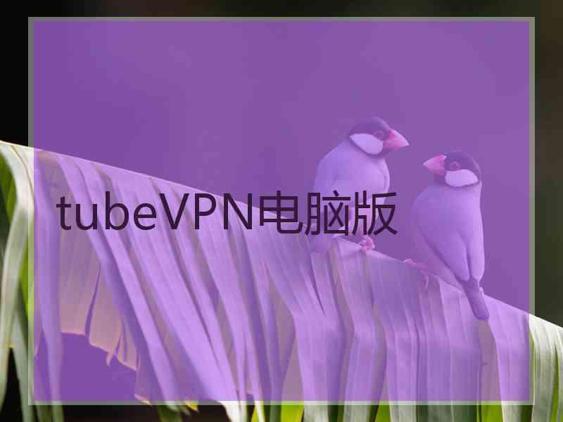 tubeVPN电脑版