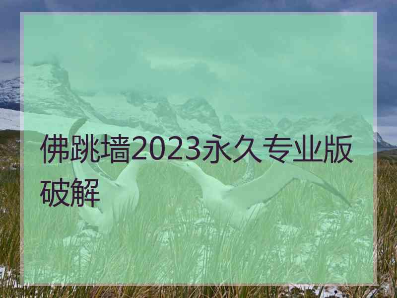 佛跳墙2023永久专业版破解