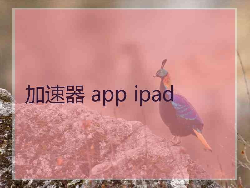 加速器 app ipad