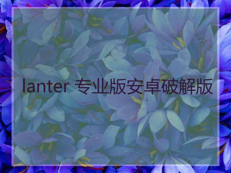 lanter 专业版安卓破解版