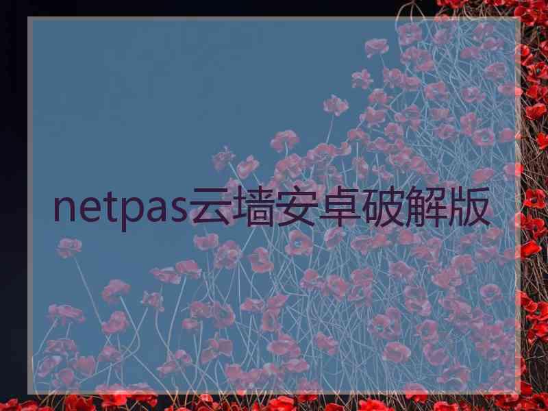 netpas云墙安卓破解版