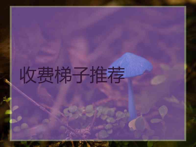 收费梯子推荐