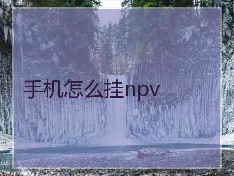 手机怎么挂npv