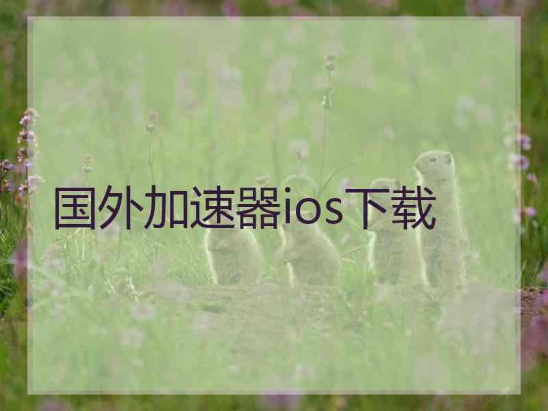 国外加速器ios下载