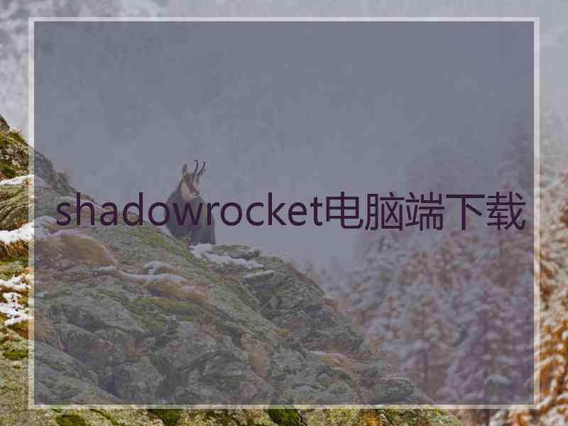 shadowrocket电脑端下载