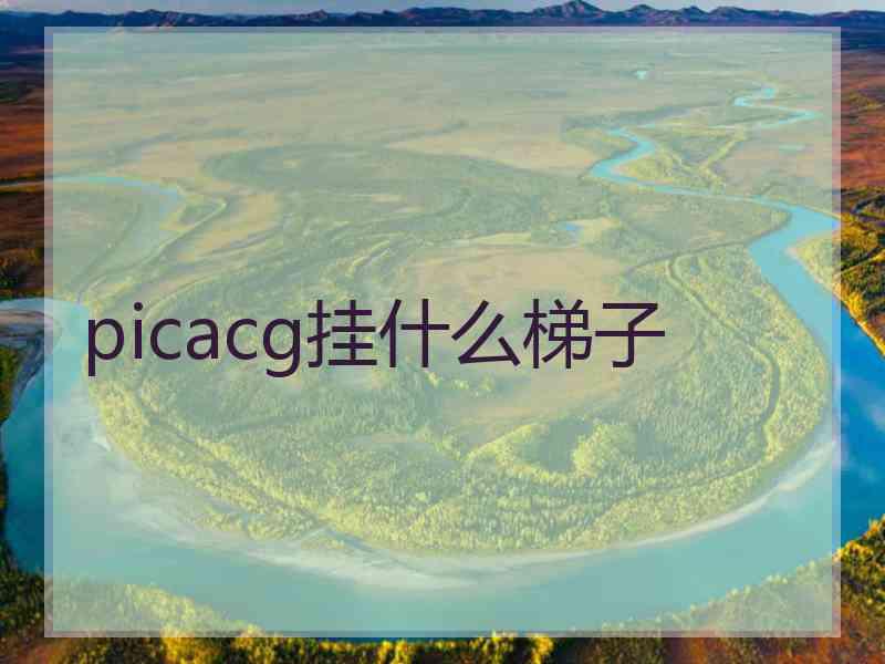 picacg挂什么梯子