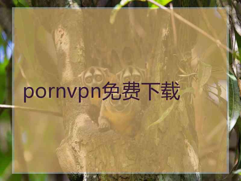 pornvpn免费下载