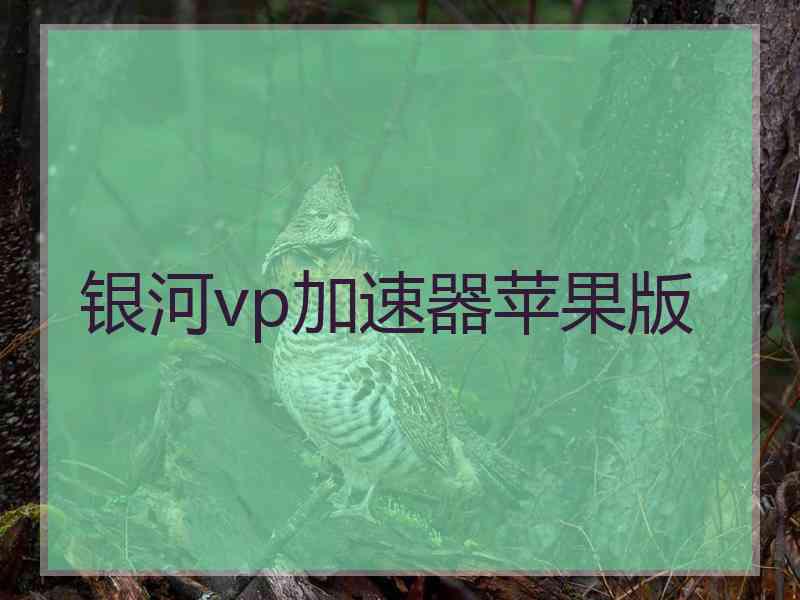 银河vp加速器苹果版