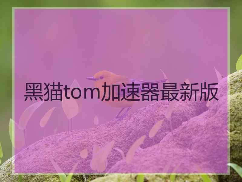 黑猫tom加速器最新版